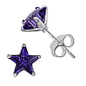 Silver ear studs Silver 925 zirconia Star