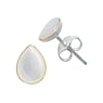 Silver ear studs Silver 925 Sea shell Drop drop-shape waterdrop