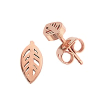 Titanium ear studs with PVD-coating (gold color). Width:5mm.  Leaf Plant pattern