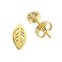 Titanium ear studs with PVD-coating (gold color). Width:5mm.  Leaf Plant pattern