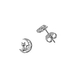 Silver ear studs Silver 925 Cat Male_cat Tom_cat Moon Half_moon Half-moon