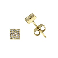 Silver ear studs with Gold-plated and zirconia. Width:5mm. Shiny. Stone(s) are fixed in setting.