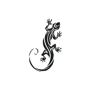 fake-tattoo In kleur gedrukt op papier Huidvriendelijke lijm salamander gekko gecko