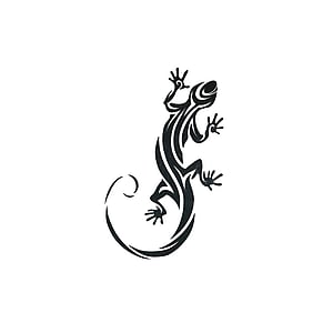 Bambini Tatuaggio Falso Salamandra Gecko Gekko