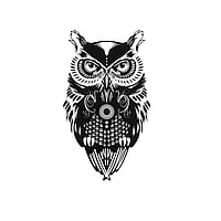 Fake Tattoo with Color printed on paper and Skin friendly adhesive. Width:4,1cm. Height:7,0cm.  Owl