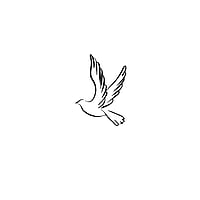 Fake Tattoo with Color printed on paper and Skin friendly adhesive. Width:3,2cm. Height:4,5cm.  Peace Dove Pigeon Dove of peace Peace dove