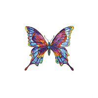 Fake Tattoo with Color printed on paper and Skin friendly adhesive. Width:4,4cm. Height:4,1cm.  Butterfly