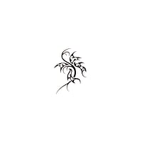 Fake-Tattoo mit Auf Papier gedruckte Farbe und Hautvertrglicher Klebstoff. Breite:3,2cm. Hhe:4,5cm.  Tribal Zeichnung Tribal Muster Schmetterling Sommervogel