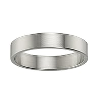 Titan Ring uit Titanium. Breedte:4mm. Vlak. Mat geslepen.