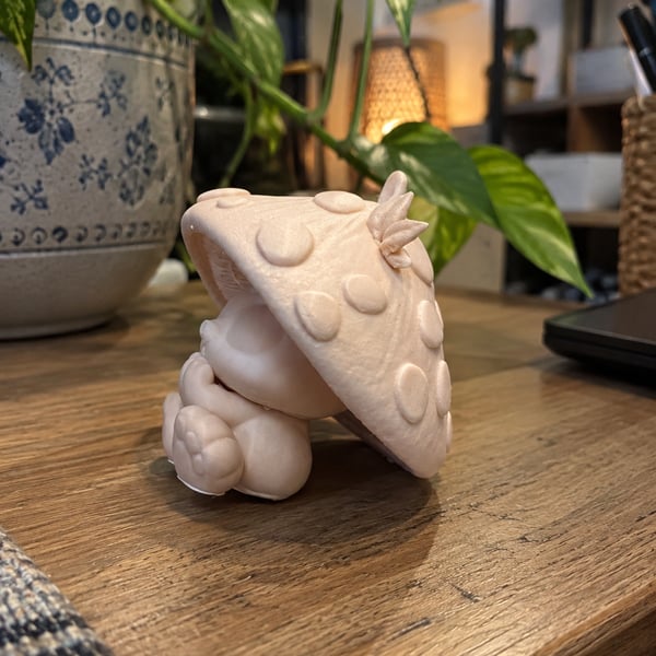 Image 3 of MochiMush | The Curious Mushroom