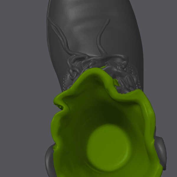 Image 5 of Jungle Boot