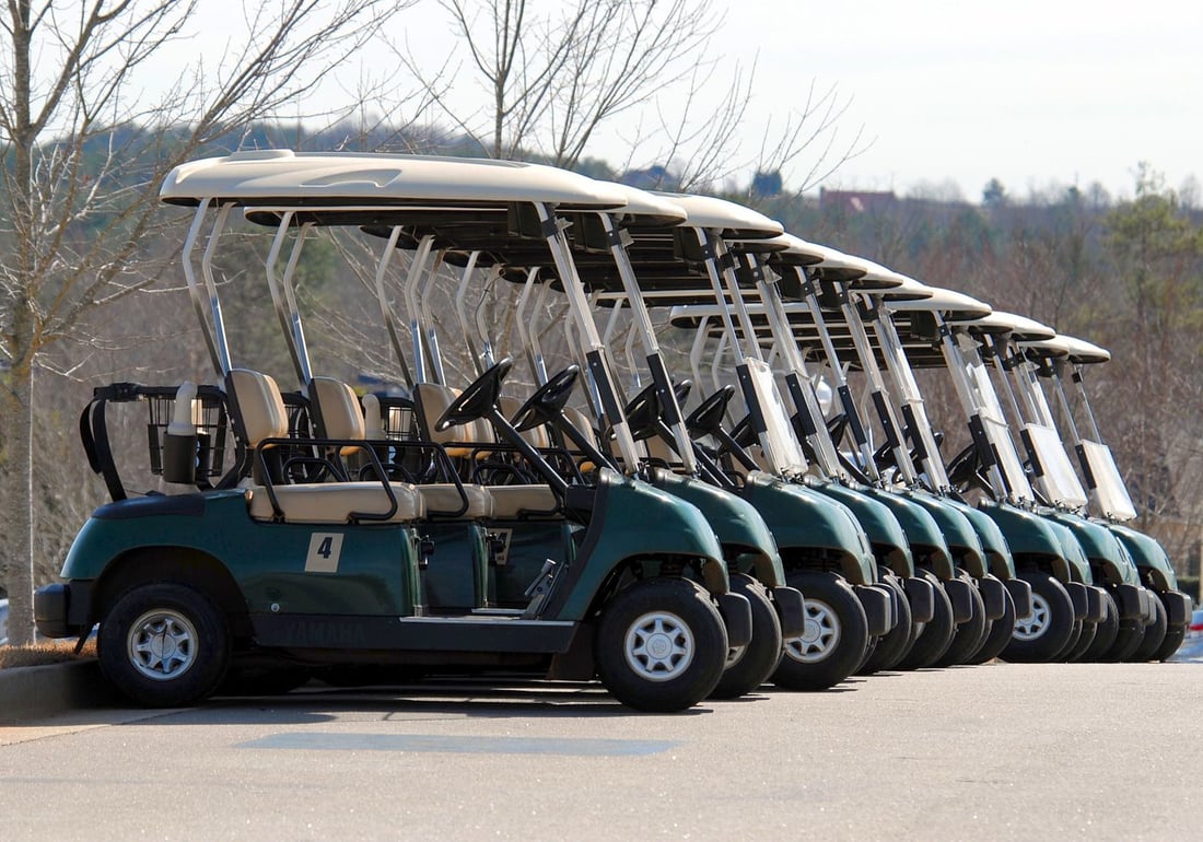 A row of golf carts parked at a course — typical light-duty wash-rack vehicles