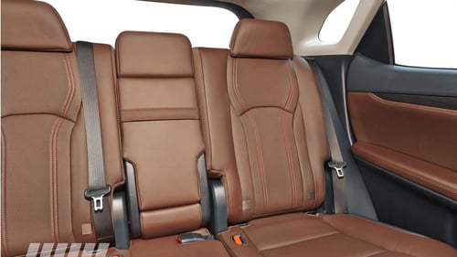 Leather upholstery cleaning