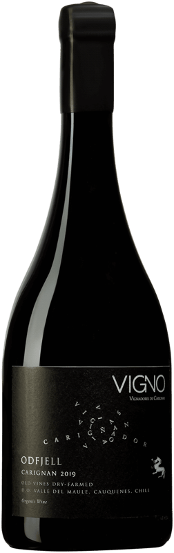 En glasflaska med Odfjell Vigno 2019, ett rött vin från Valle Central i Chile