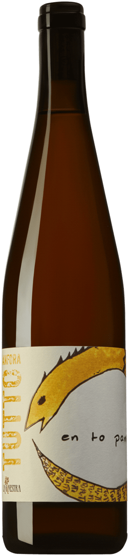 En glasflaska med La Ginestra Tutto Anfora Bianco 2022, ett vitt vin från Toscana i Italien