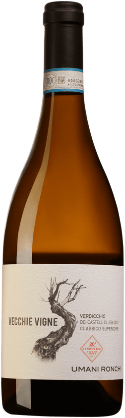 En glasflaska med Umani Ronchi Vecchie Vigne 2021, ett vitt vin från Marche i Italien