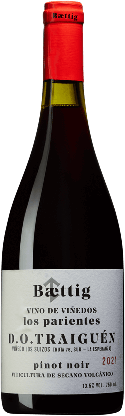 En glasflaska med Baettig Los Parientes Pinot Noir 2021, ett rött vin från Région del Sur i Chile