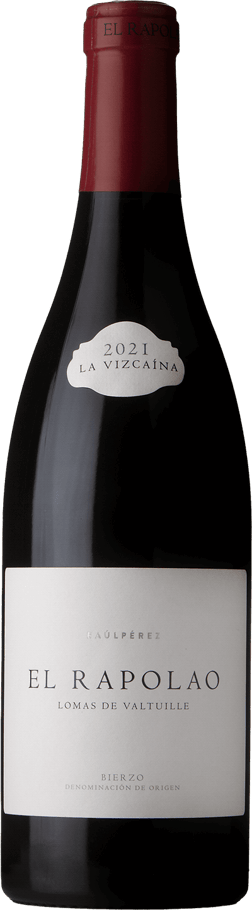 En glasflaska med Raúl Pérez Vizcaina Rapolao 2021, ett rött vin från Kastilien-León i Spanien