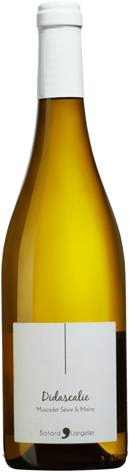En glasflaska med Batard Langelier Didascalie Muscadet Sèvre et Maine sur lie 2022, ett vitt vin från Loiredalen i Frankrike