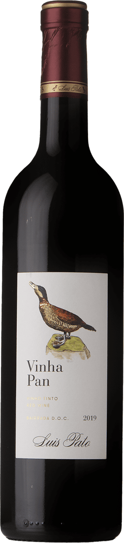 En glasflaska med Luis Pato Vinha Pan 2019, ett rött vin från Bairrada i Portugal
