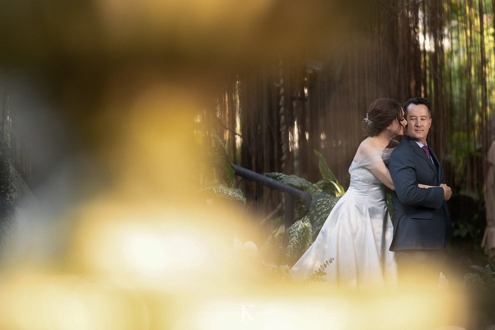 Romantic The Gardens of Dinsor Palace Wedding | Kaye & Todd 112 gardens of dinsor palace 112 Romantic The Gardens of Dinsor Palace Wedding | Kaye & Todd