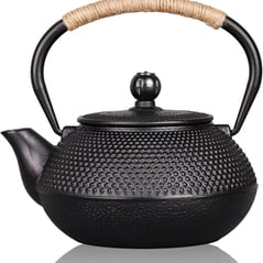 Japanese Cast Iron Teapot