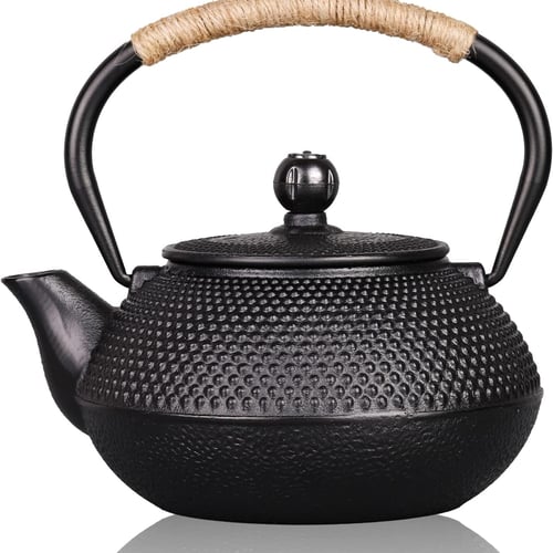 Japanese Cast Iron Teapot