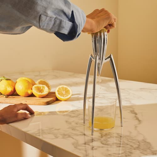 Citrus Squeezer