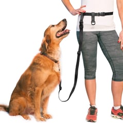 Hands Free Dog Leash for Running