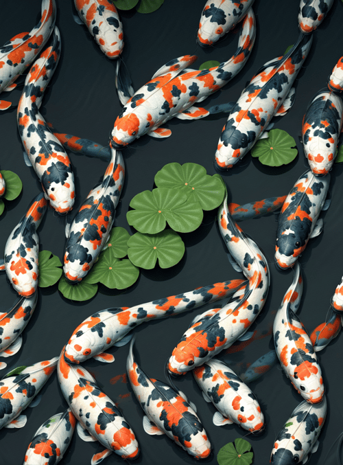 koi, lotus, fish, water, plants