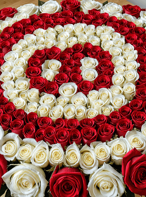roses, bouquet, flowers