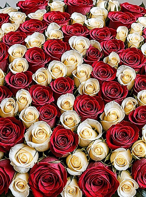roses, bouquet, flowers
