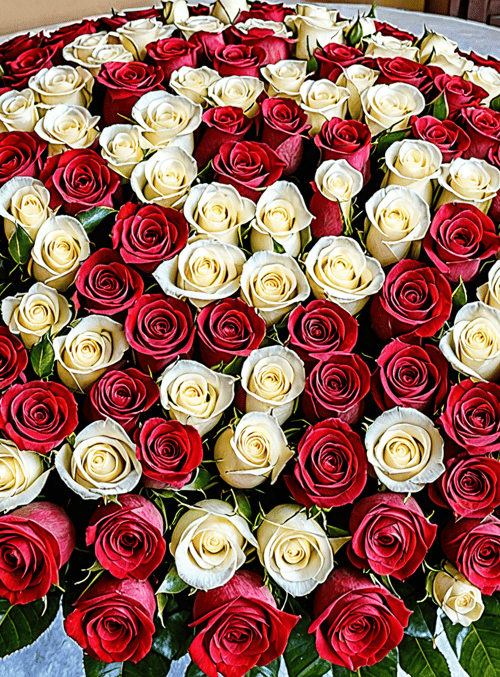 roses, bouquet, flowers