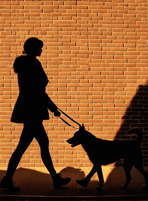 woman, dog, brick wall, shadow