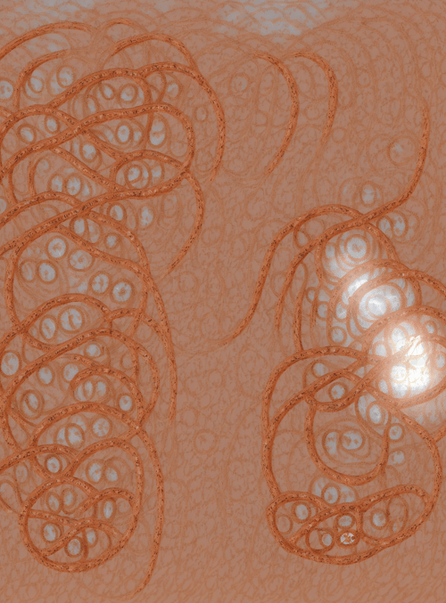 circles, curves, patterns