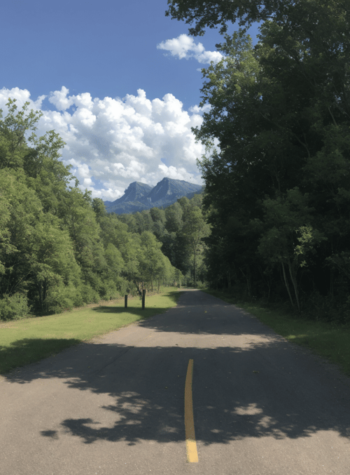 road, trees, mountain