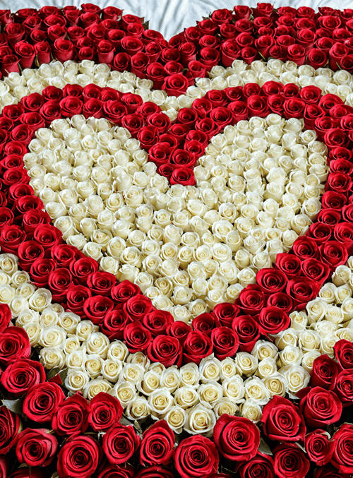 roses, heart, flower