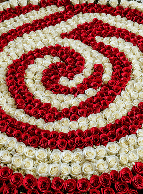roses, flower arrangement, circular pattern