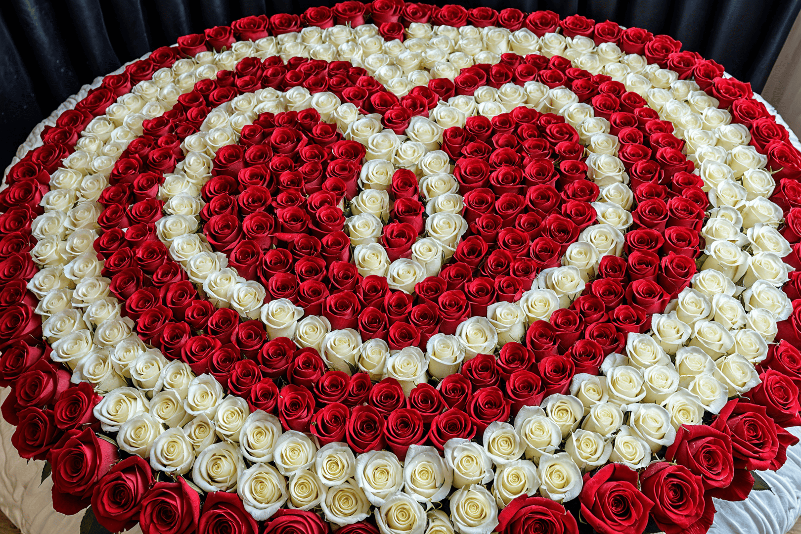 AI generated wallpaper featuring roses, arrangement, flower