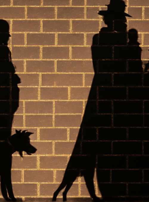 silhouette, people, dog, wall, shadow, brick, hat, walking
