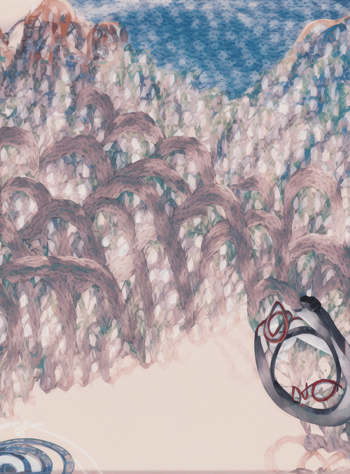 kelp, circles, sea