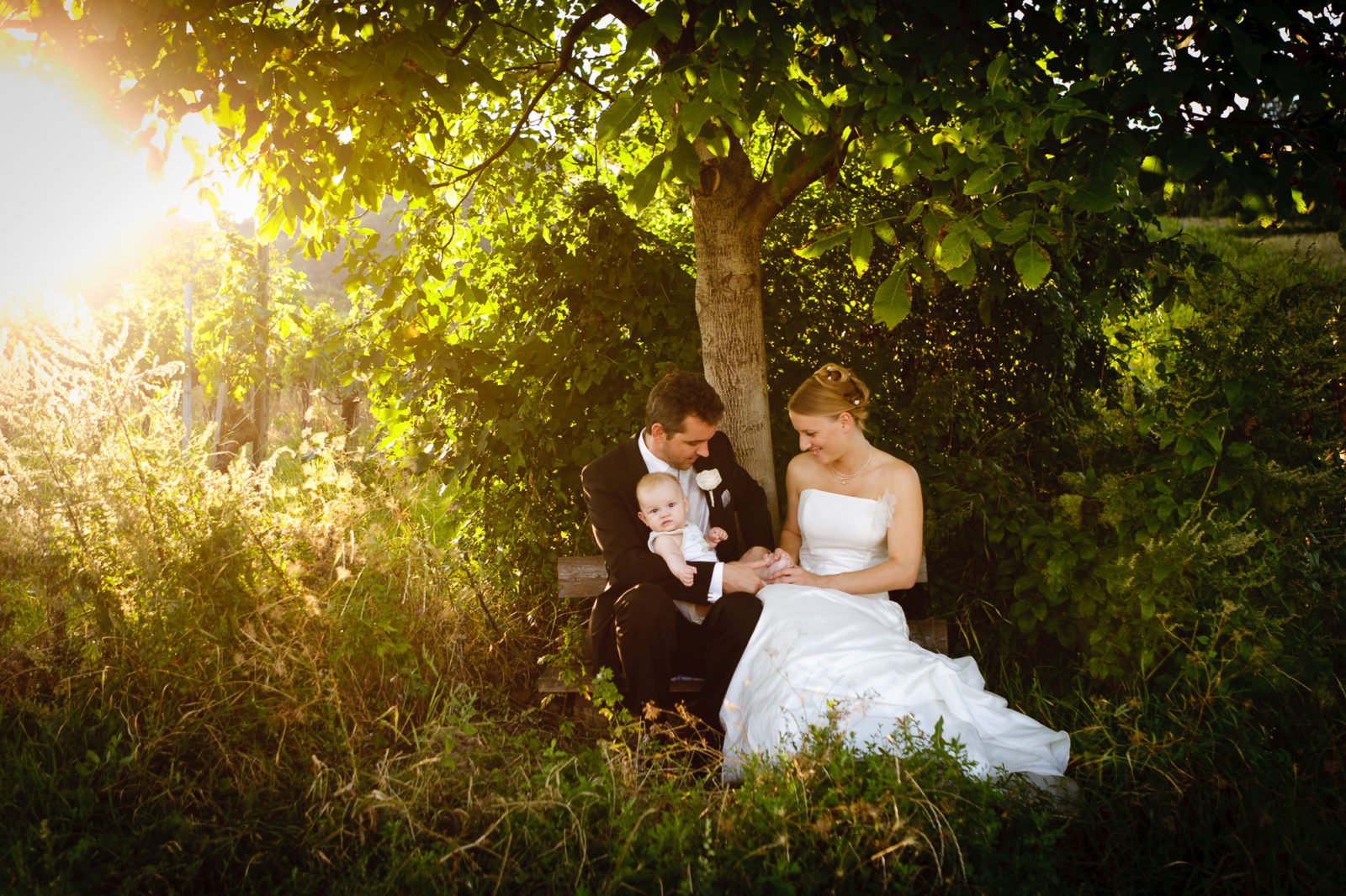 Portfolio image