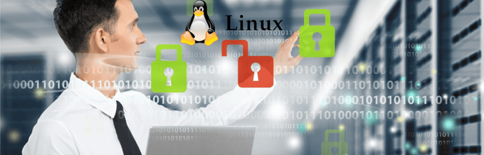 Tools to Scan Linux Servers for Security Flaws and Malware