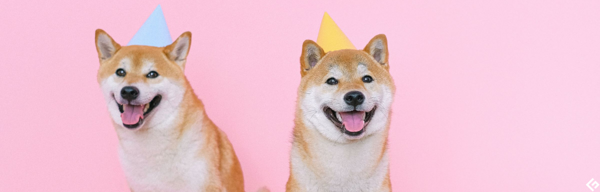 Wie man coole Geburtstagskarten online gestaltet?