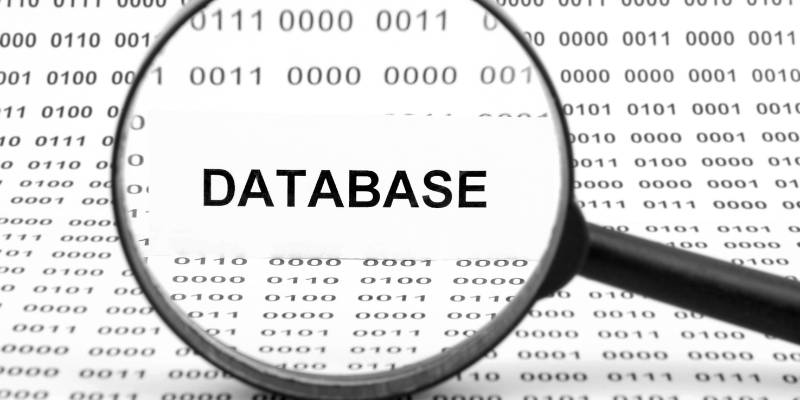 Database-Queries