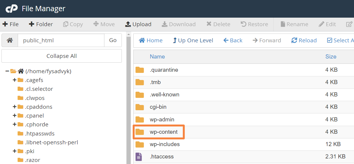 Wp-Content Folder in cPanel