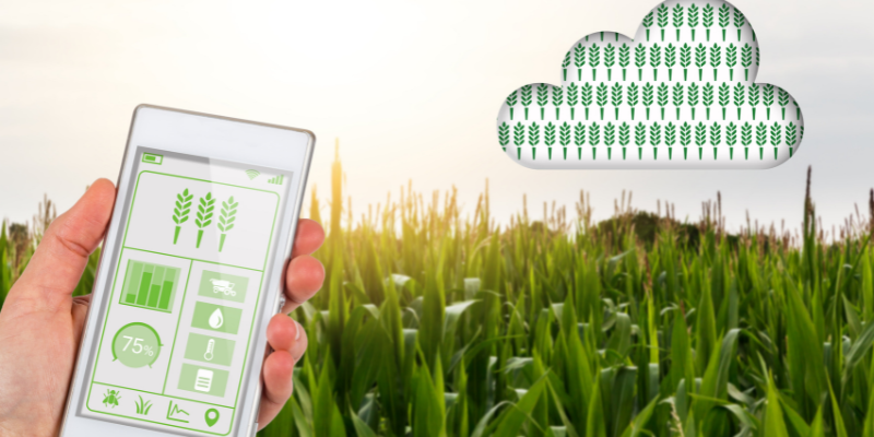 Plant finder apps provide information on the plant's needs like soil and water requirements