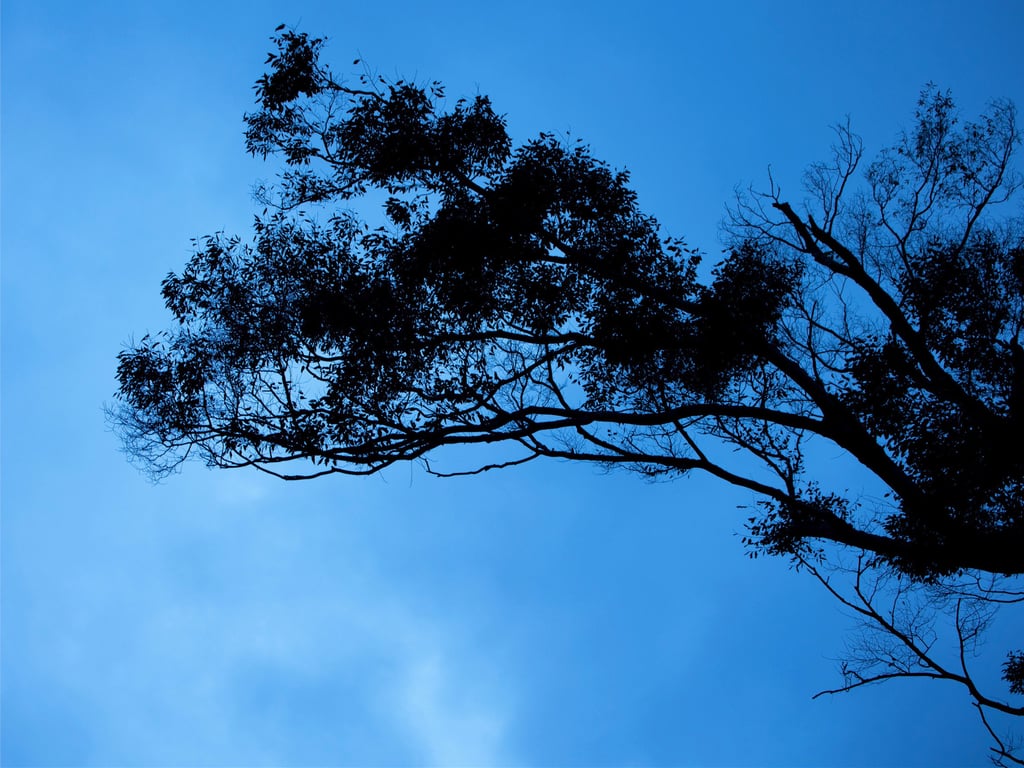 图片[19]-#Mao Watanabe 渡边真绪 – Best Premium Exclusive Cut Vol. 01 - 全本免费在线观看-阅图吧