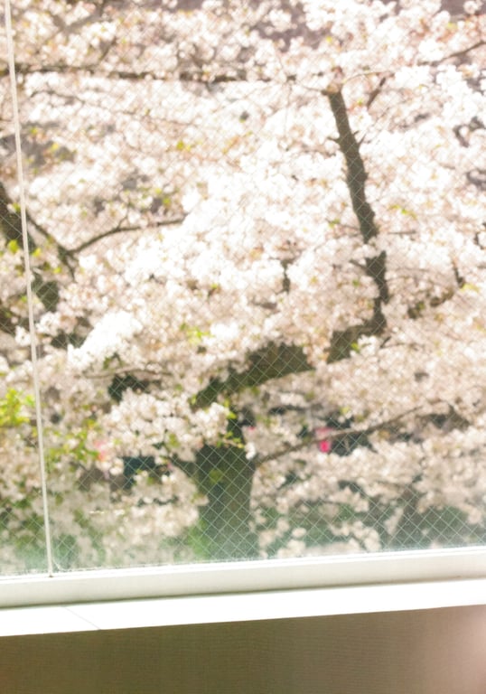 图片[143]-Shiori Kubo 久保史绪里 - 1st Photobook Intersection 交差点 (HQ Scan) - 在线免费观看-阅图吧