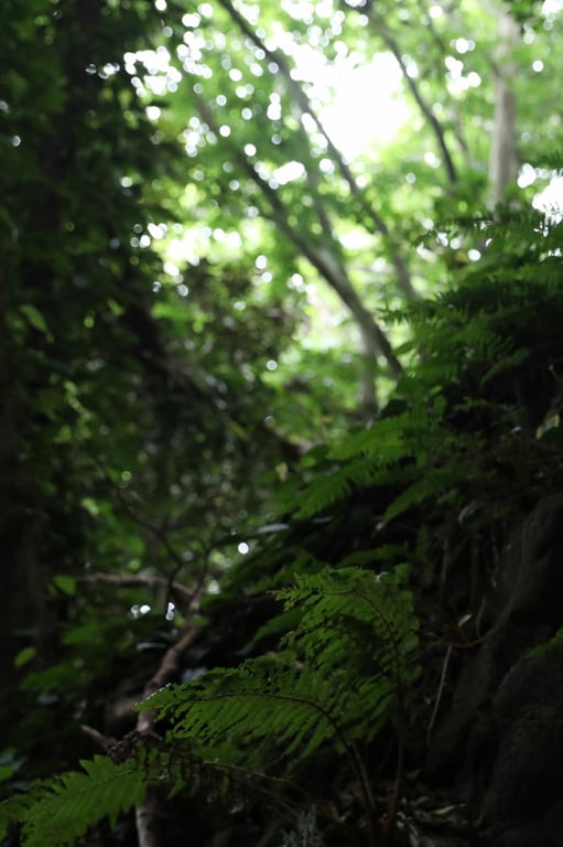 图片[23]-#FRIDAYデジタル写真集 现役庆应大学生美女 街山美穗「秘宿／潮骚」１２０カット完全版 - 全本免费在线观看-阅图吧